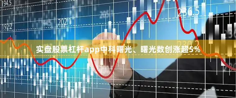 实盘股票杠杆app中科曙光、曙光数创涨超5%