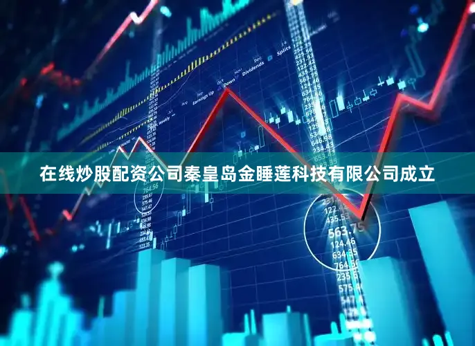 在线炒股配资公司秦皇岛金睡莲科技有限公司成立