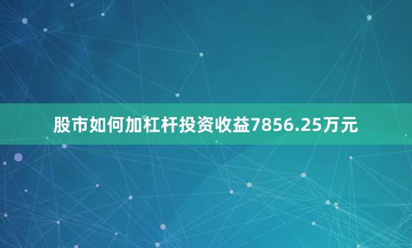 股市如何加杠杆投资收益7856.25万元