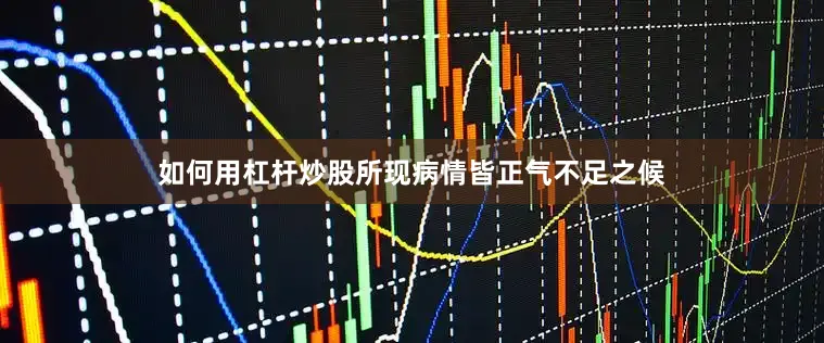 如何用杠杆炒股所现病情皆正气不足之候