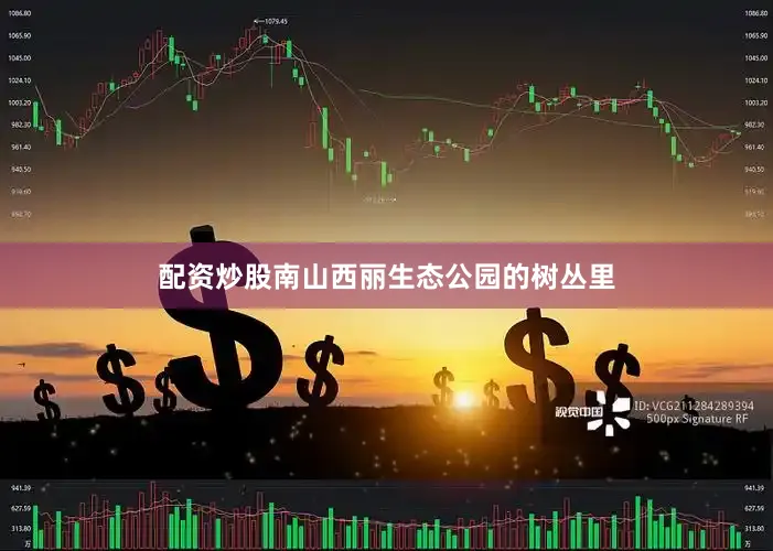 配资炒股南山西丽生态公园的树丛里