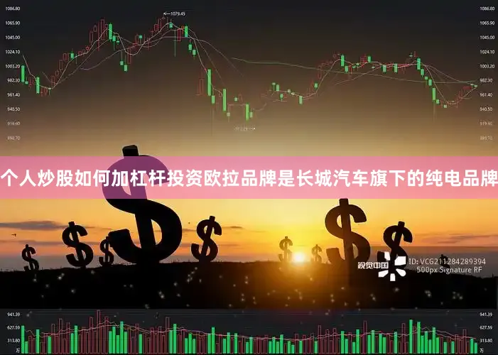 个人炒股如何加杠杆投资欧拉品牌是长城汽车旗下的纯电品牌